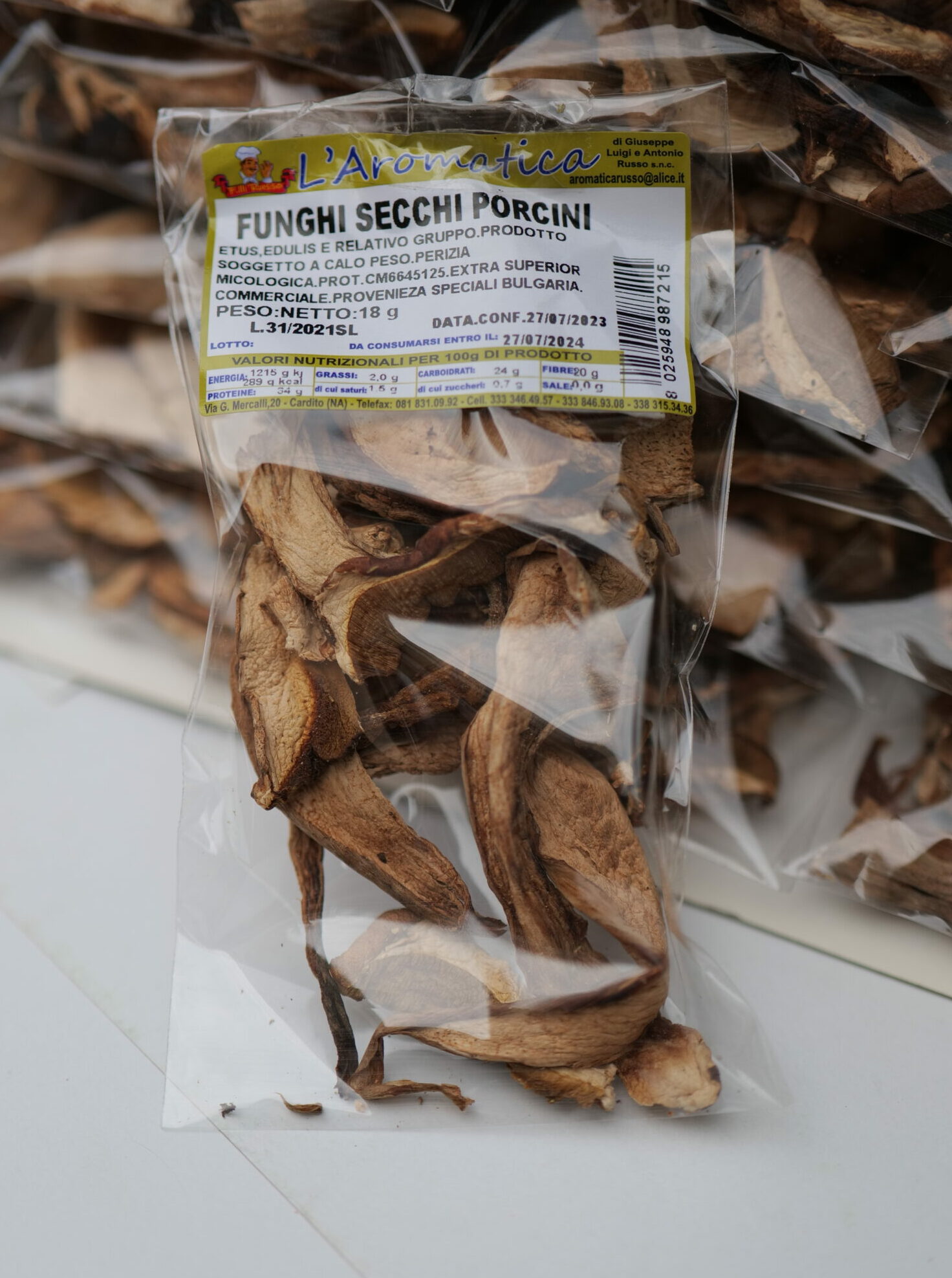 funghi porcini 2